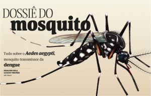 mosquito 11